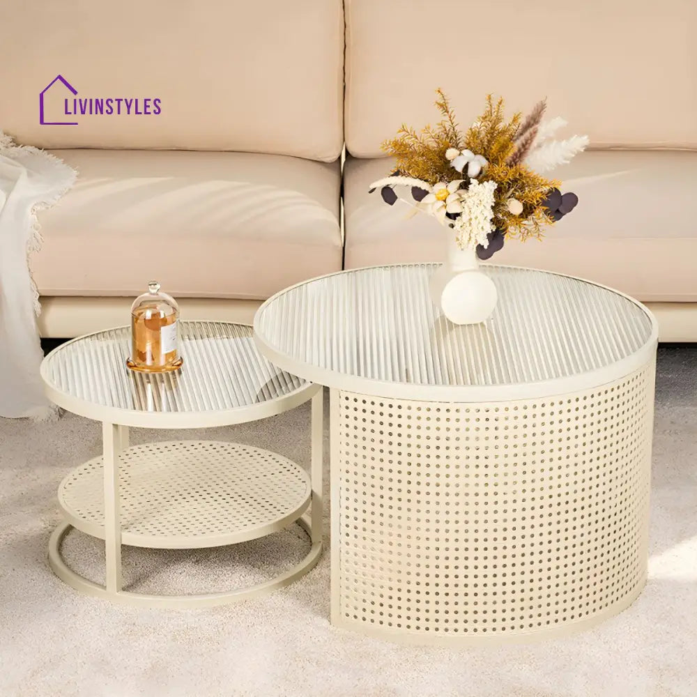 Lekha Stainless Coffee Table for Living Room