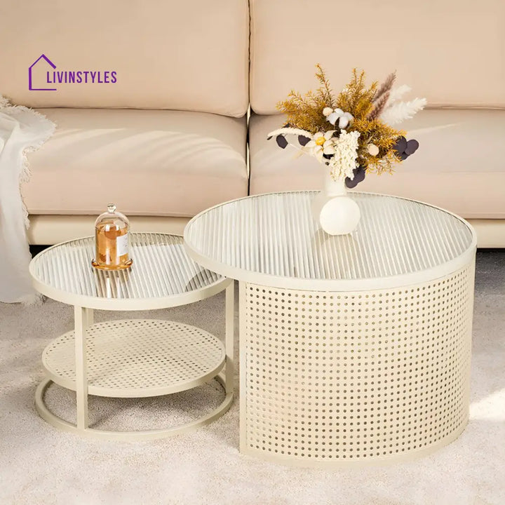 Lekha Stainless Coffee Table for Living Room
