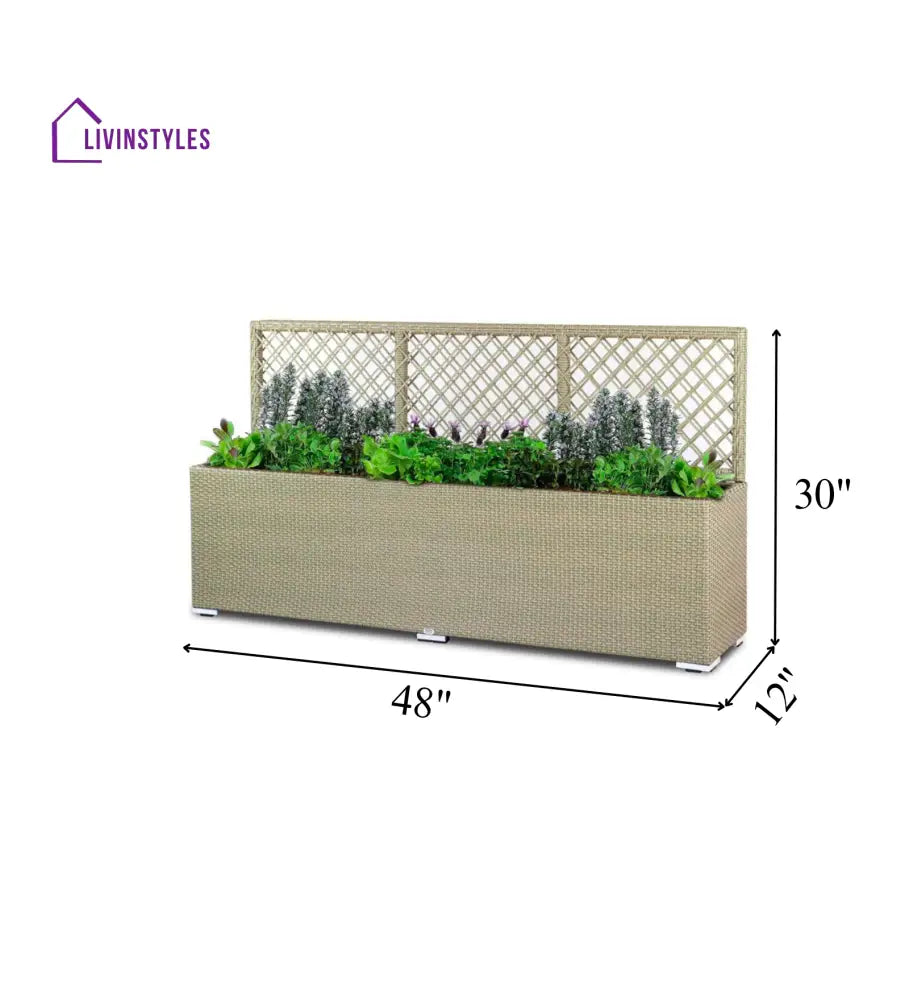 Leroy Outdoor Wicker Planters For Garden Balcony - Planter