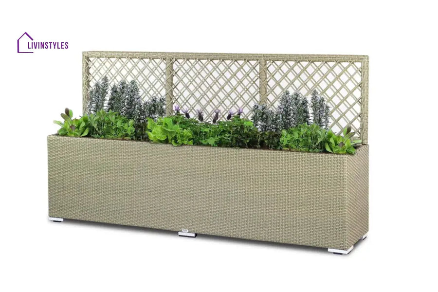 Leroy Outdoor Wicker Planters For Garden Balcony - Planter