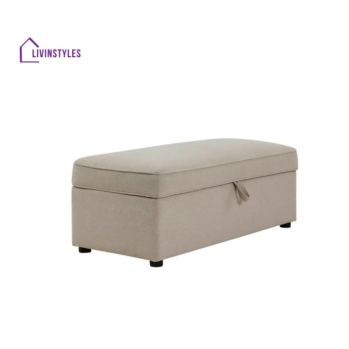 Lisandro Rectangle Ottoman Storage End of Bed Ottomans