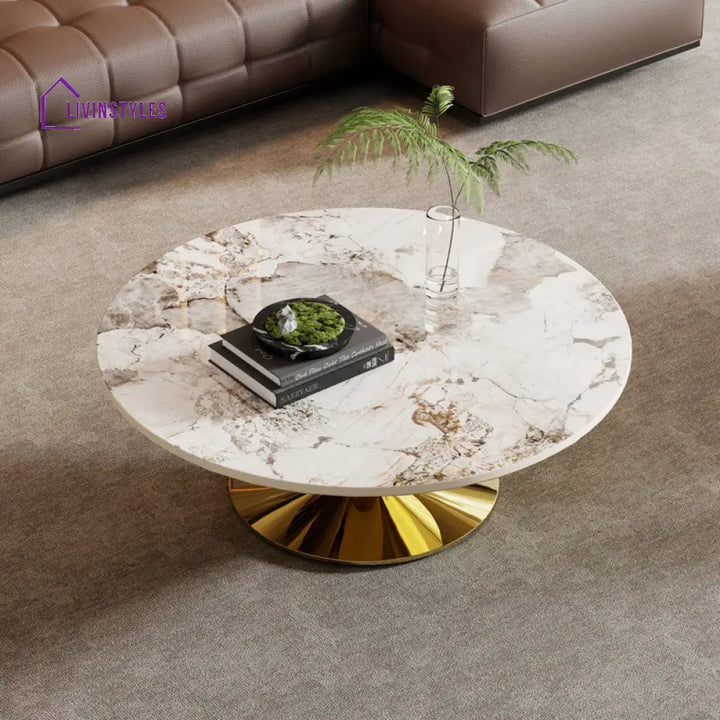 Lopa Stainless Steel Coffee Table For Living Room