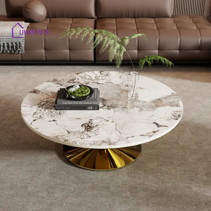 Lopa Stainless Steel Coffee Table For Living Room