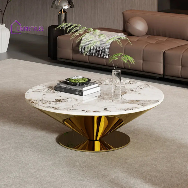 Lopa Stainless Steel Coffee Table For Living Room