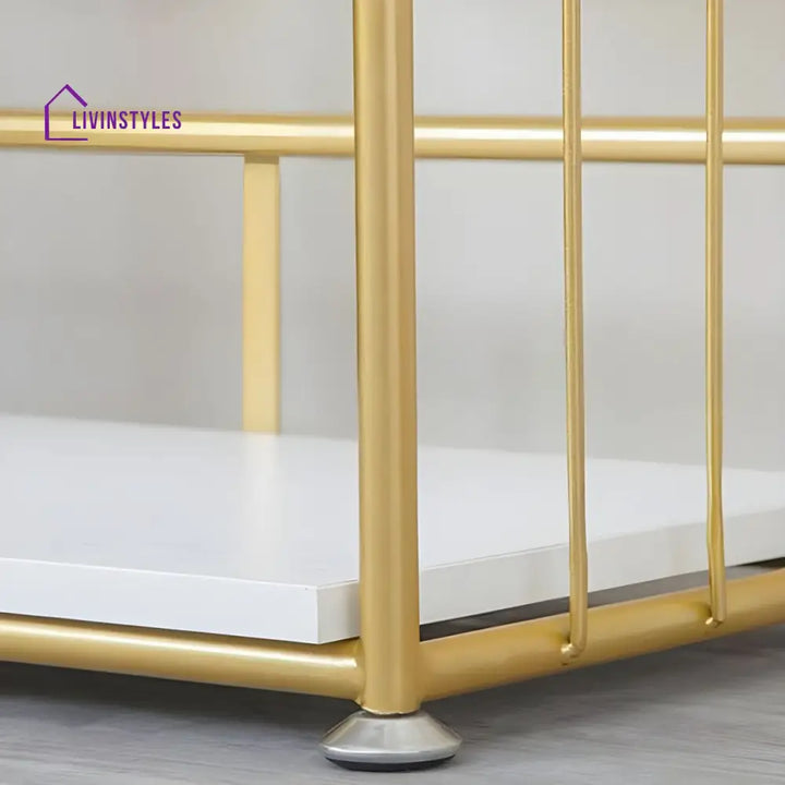 Ludmila Stainless Steel Frame Bookshelves | Storage Shelves