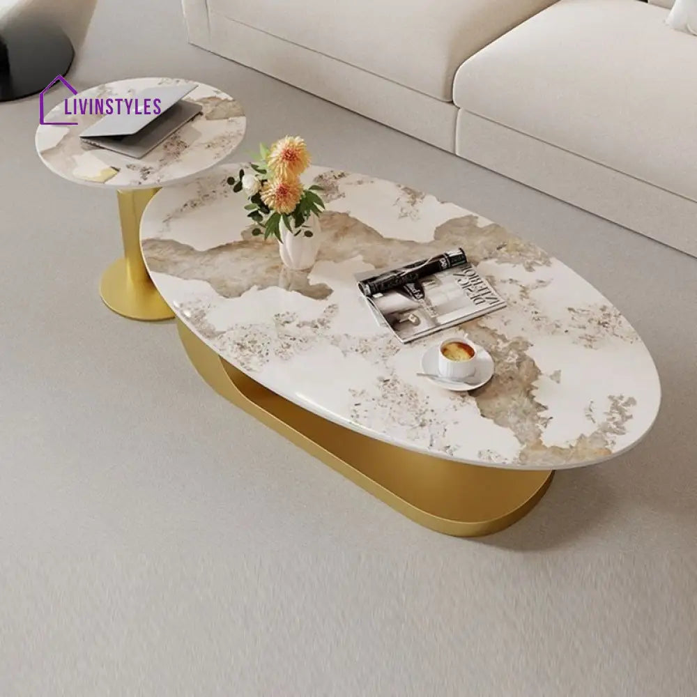 Luna Stainless Steel Coffee Table | Composite Marble - Set of 2