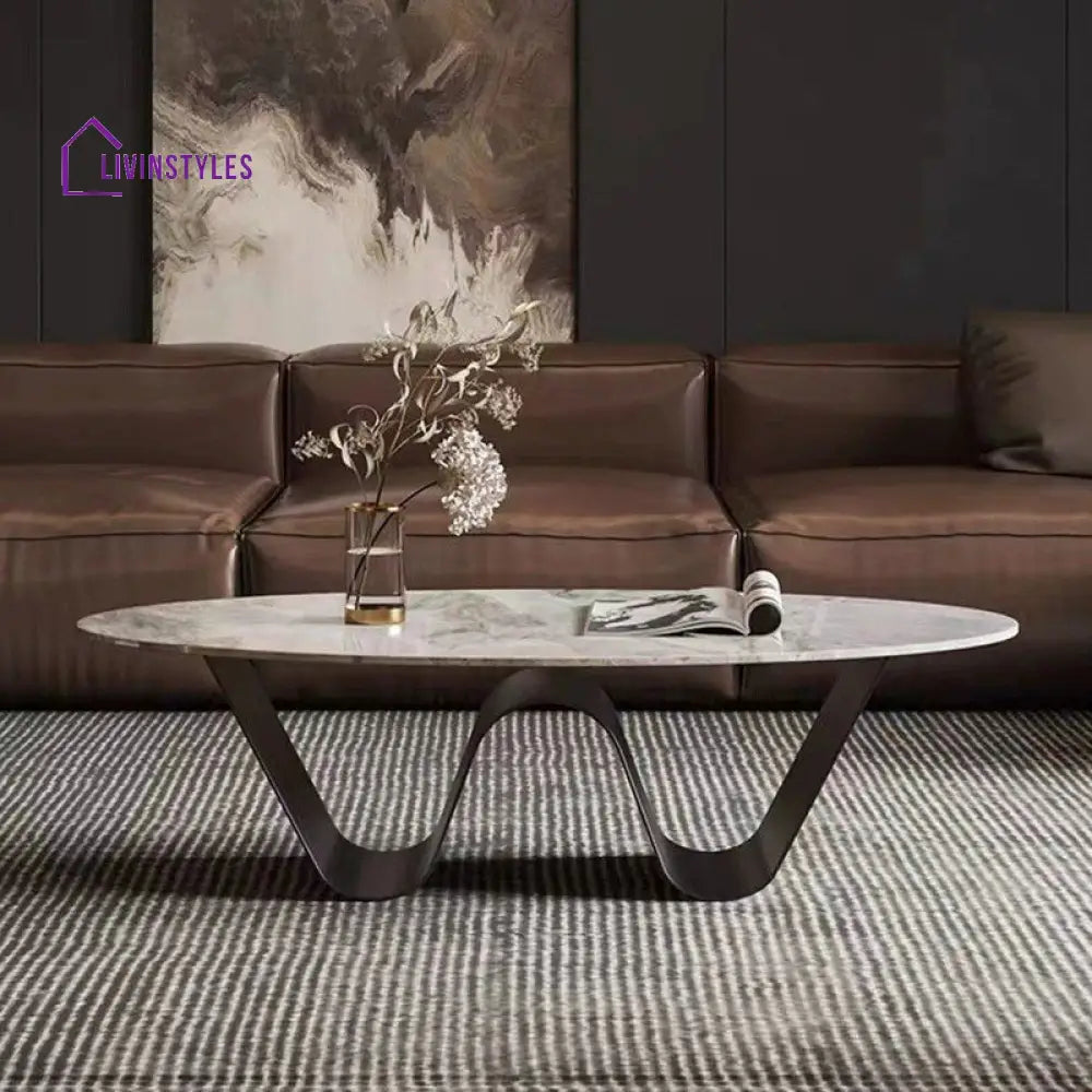 Manan Stainless Steel Frame Coffee Table for Living Room