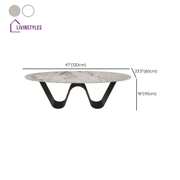 Manan Stainless Steel Frame Coffee Table for Living Room