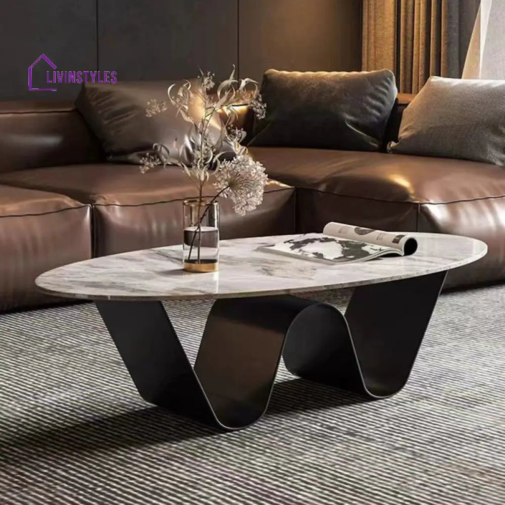 Manan Stainless Steel Frame Coffee Table for Living Room