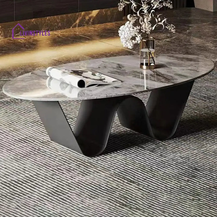 Manan Stainless Steel Frame Coffee Table for Living Room