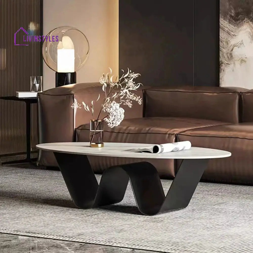 Manan Stainless Steel Frame Coffee Table for Living Room