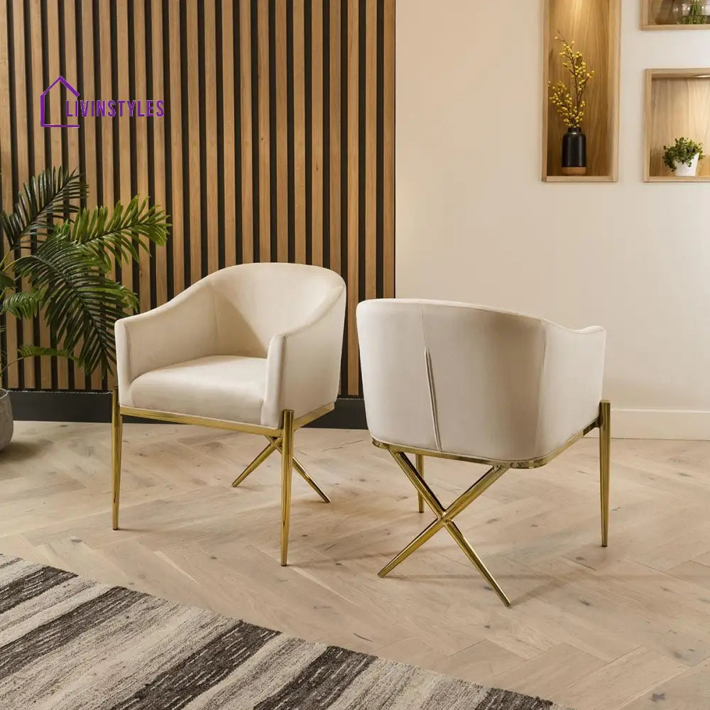 Marianna Dining Carver Chair Set of 2 Cream Velvet Curved Back on Gold Legs Dining Room / Dining Chairs