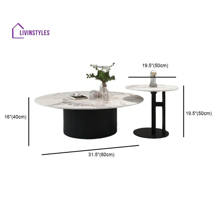 Mohini Stainless Steel Frame Coffee Table for Living Room