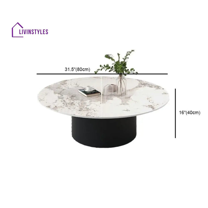 Mohini Stainless Steel Frame Coffee Table for Living Room