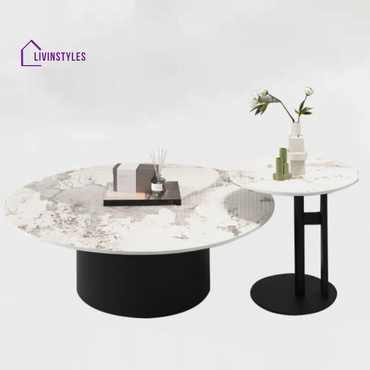 Mohini Stainless Steel Frame Coffee Table for Living Room