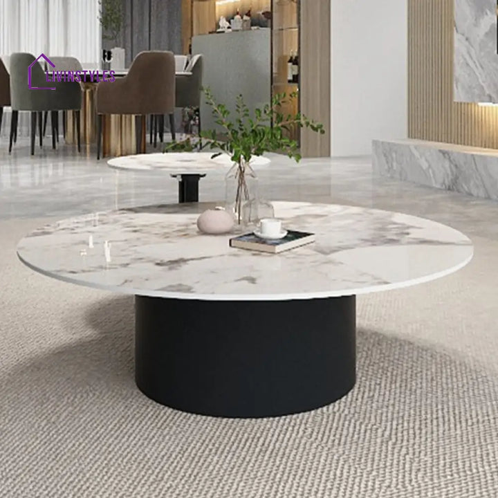 Mohini Stainless Steel Frame Coffee Table for Living Room