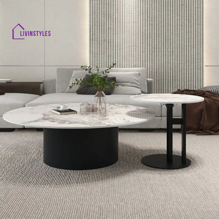 Mohini Stainless Steel Frame Coffee Table for Living Room
