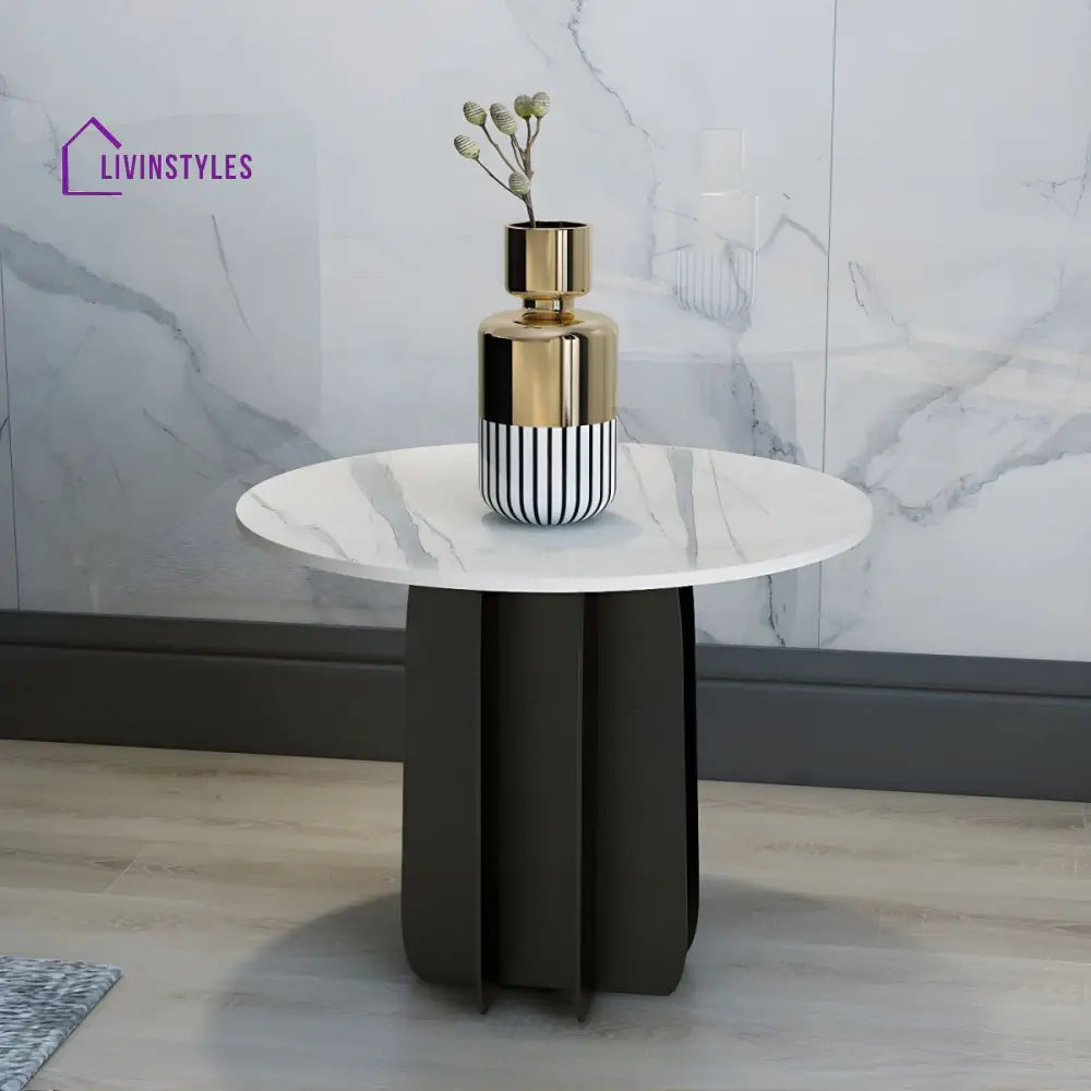 Naira Stainless Steel Frame Coffee Table for Living Room