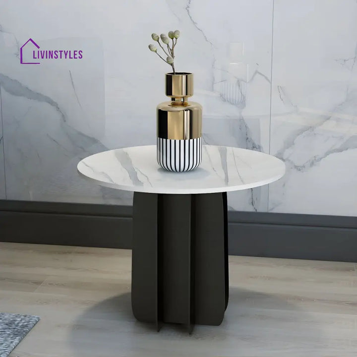 Naira Stainless Steel Frame Coffee Table for Living Room