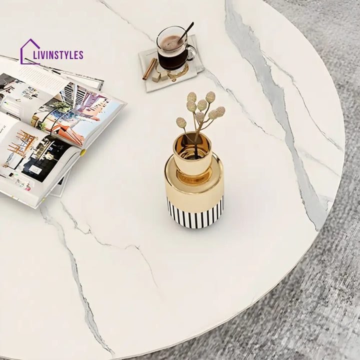 Naira Stainless Steel Frame Coffee Table for Living Room