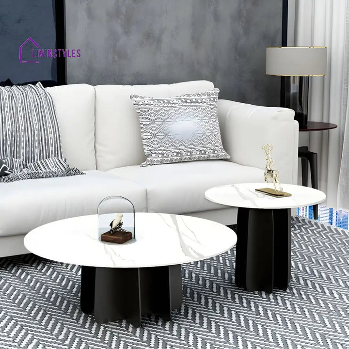 Naira Stainless Steel Frame Coffee Table for Living Room