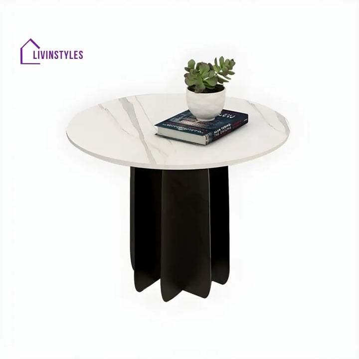 Naira Stainless Steel Frame Coffee Table for Living Room
