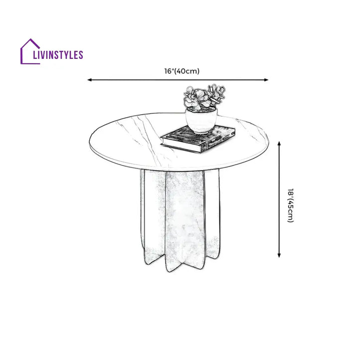 Naira Stainless Steel Frame Coffee Table for Living Room