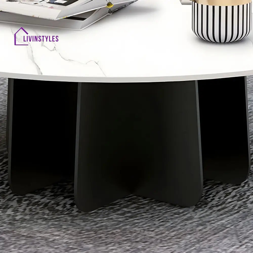 Naira Stainless Steel Frame Coffee Table for Living Room