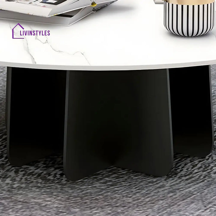 Naira Stainless Steel Frame Coffee Table for Living Room