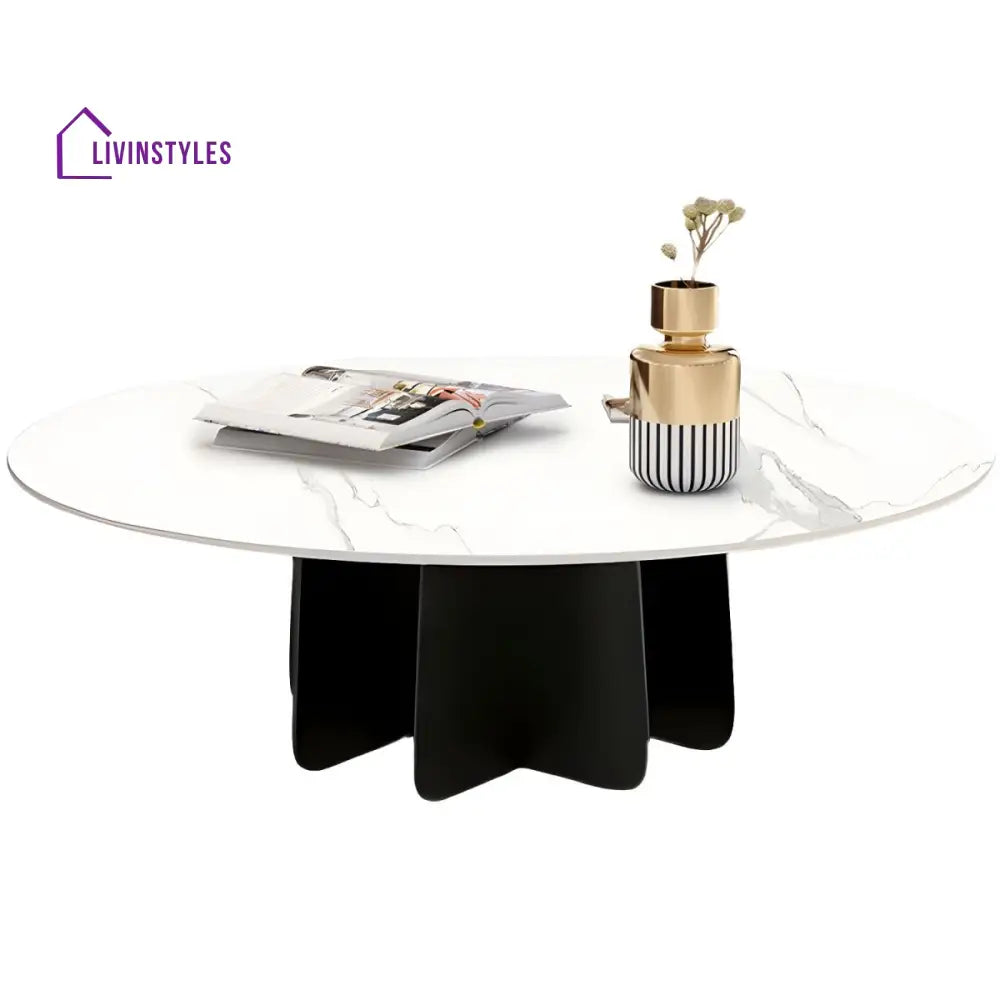 Naira Stainless Steel Frame Coffee Table for Living Room