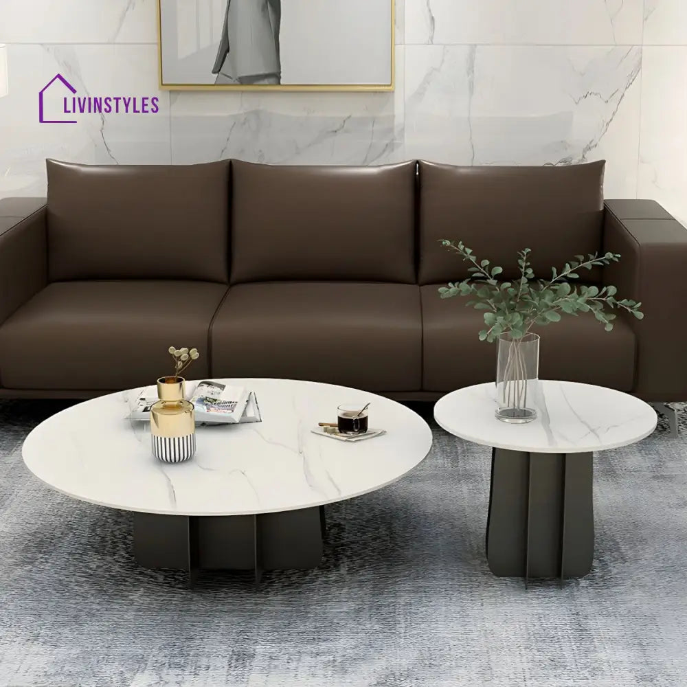 Naira Stainless Steel Frame Coffee Table for Living Room