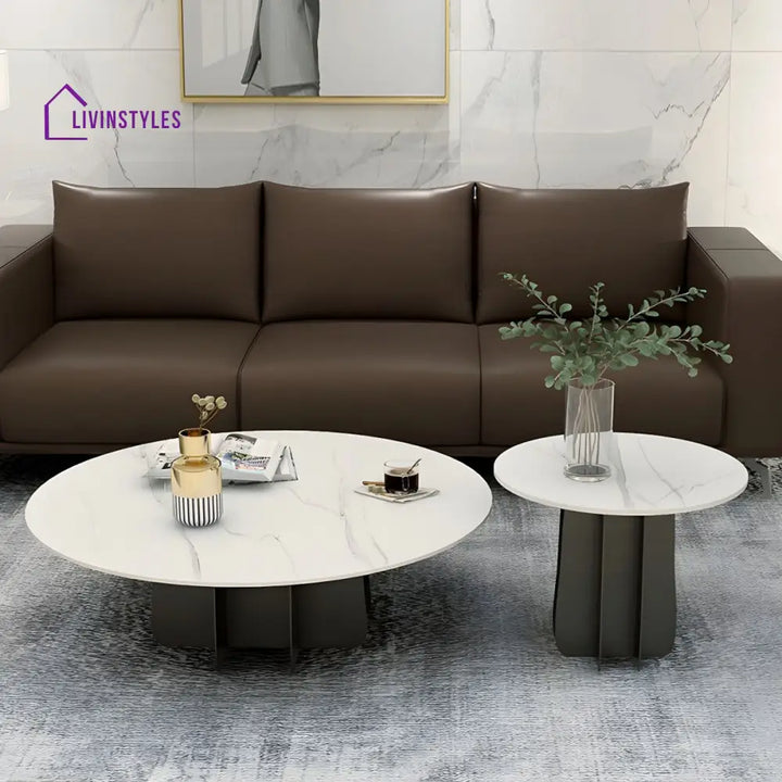 Naira Stainless Steel Frame Coffee Table for Living Room