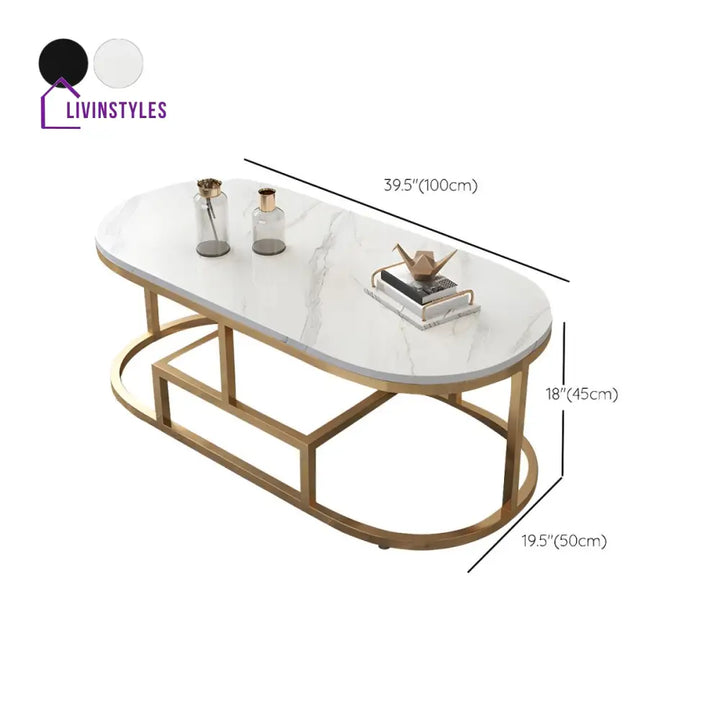 Naksh Stainless Steel Frame Coffee Table for Living Room