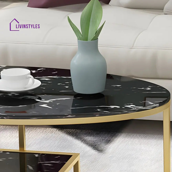 Naksh Stainless Steel Frame Coffee Table for Living Room