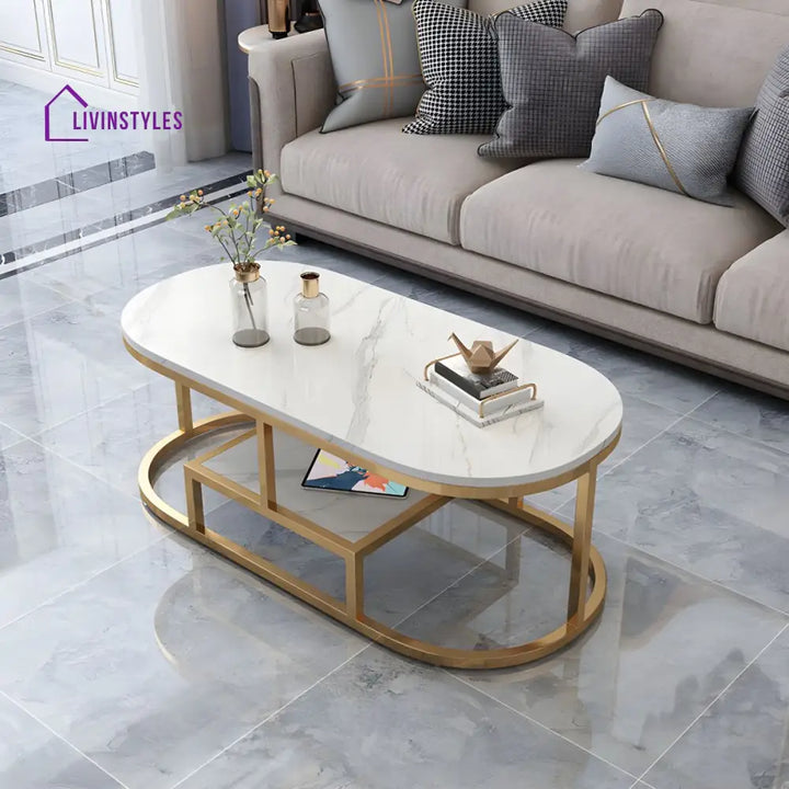 Naksh Stainless Steel Frame Coffee Table for Living Room