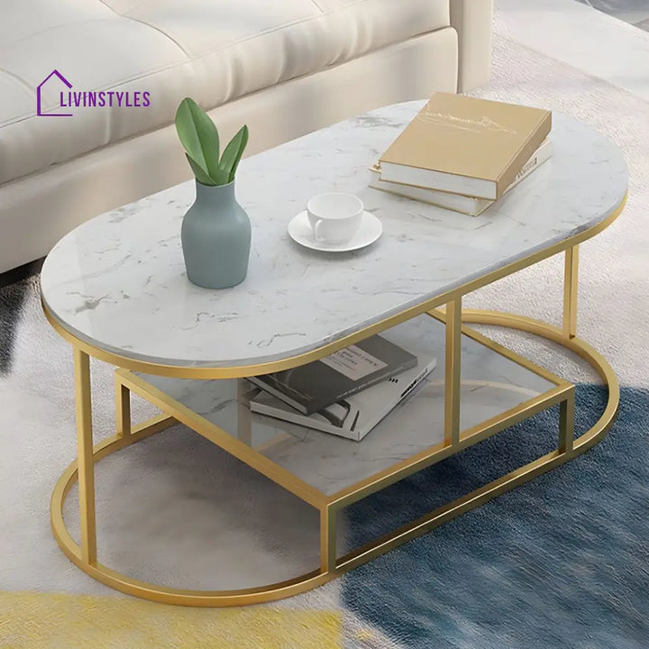 Naksh Stainless Steel Frame Coffee Table for Living Room