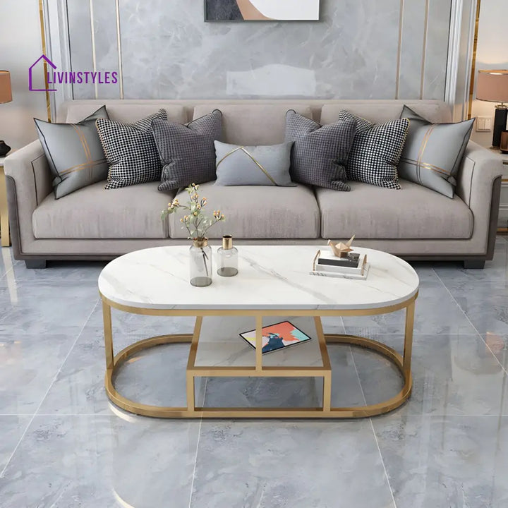 Naksh Stainless Steel Frame Coffee Table for Living Room