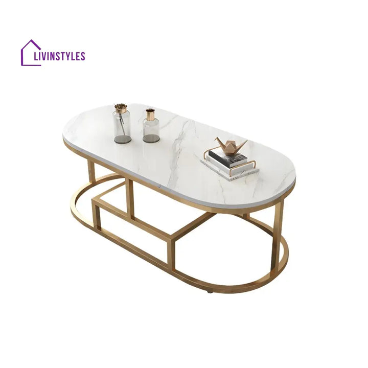 Naksh Stainless Steel Frame Coffee Table for Living Room