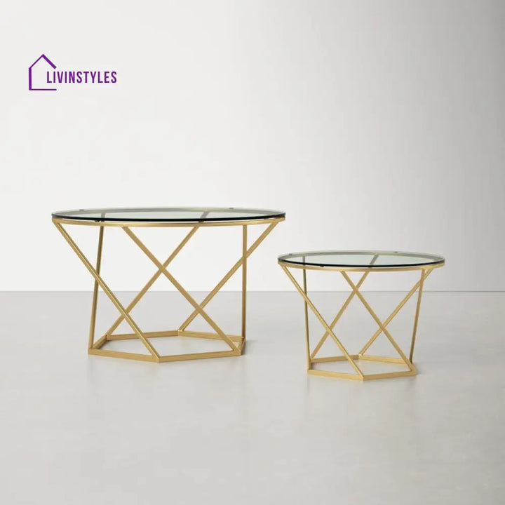 Namita Metal Coffee Table For Living Room