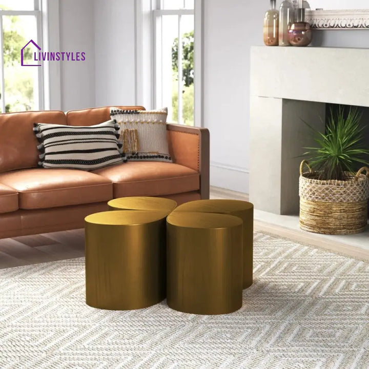 Nandini Stainless Steel Coffee Table for Living Room