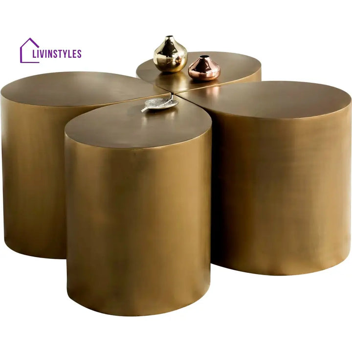 Nandini Stainless Steel Coffee Table for Living Room