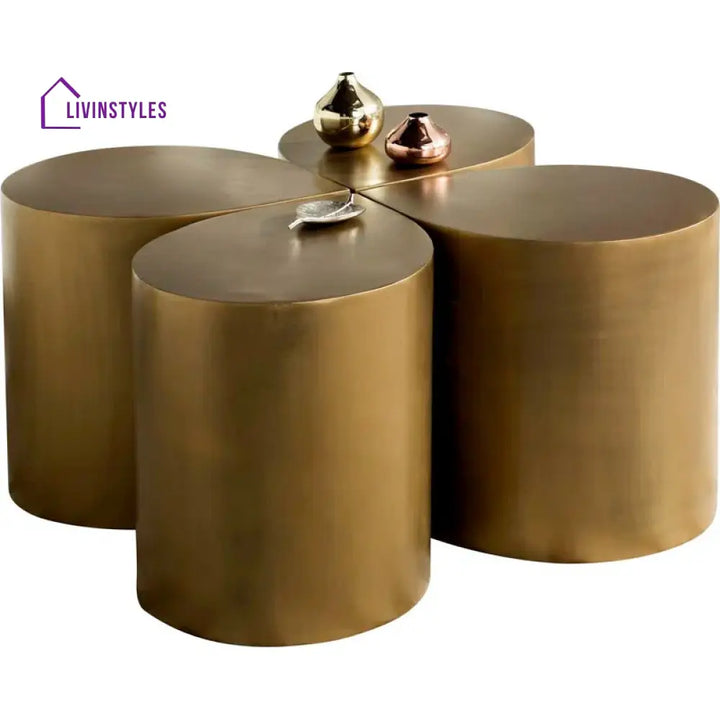 Nandini Stainless Steel Coffee Table for Living Room