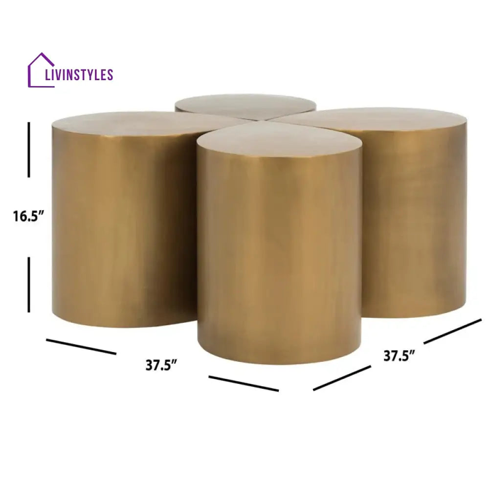 Nandini Stainless Steel Coffee Table for Living Room