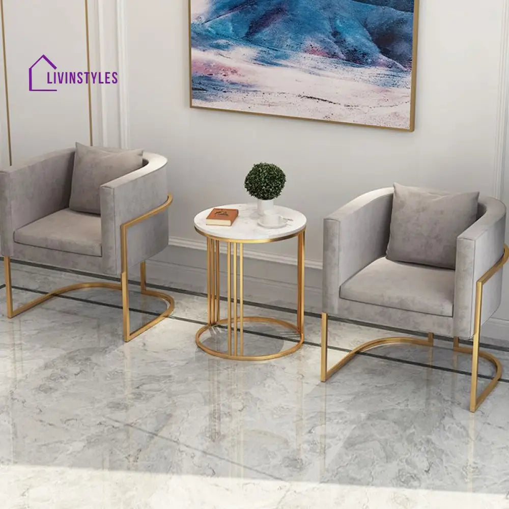 Navya Stainless Steel Frame Coffee Table for Living Room - Set of 2