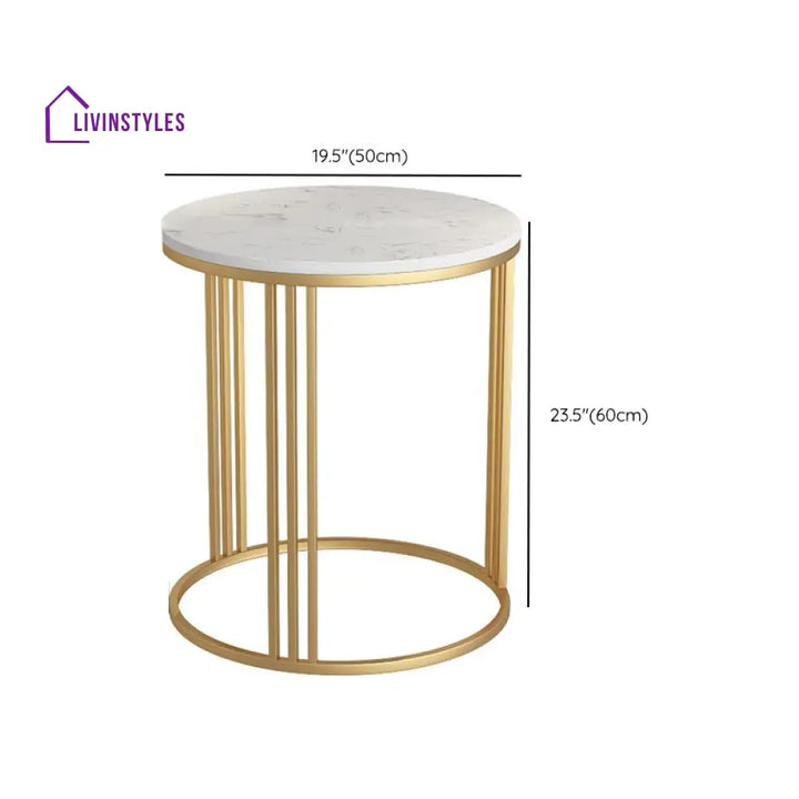 Navya Stainless Steel Frame Coffee Table for Living Room - Set of 2