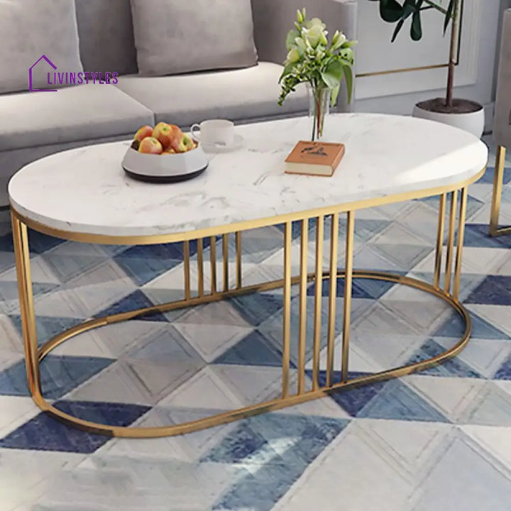 Navya Stainless Steel Frame Coffee Table for Living Room - Set of 2