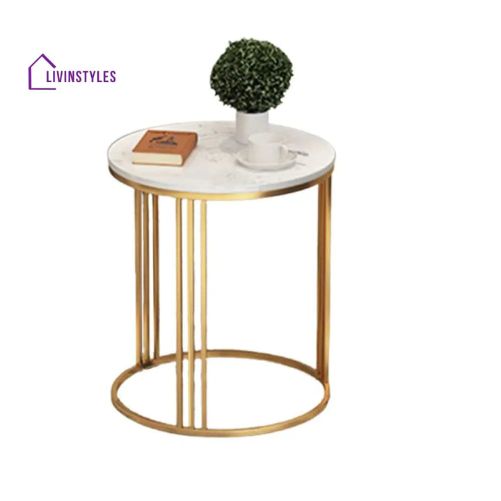 Navya Stainless Steel Frame Coffee Table for Living Room - Set of 2