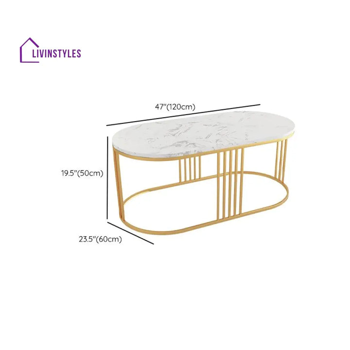 Navya Stainless Steel Frame Coffee Table for Living Room - Set of 2