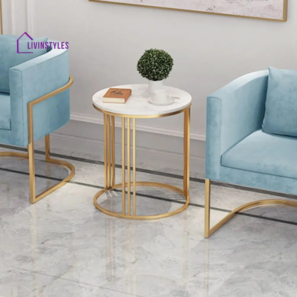 Navya Stainless Steel Frame Coffee Table for Living Room - Set of 2
