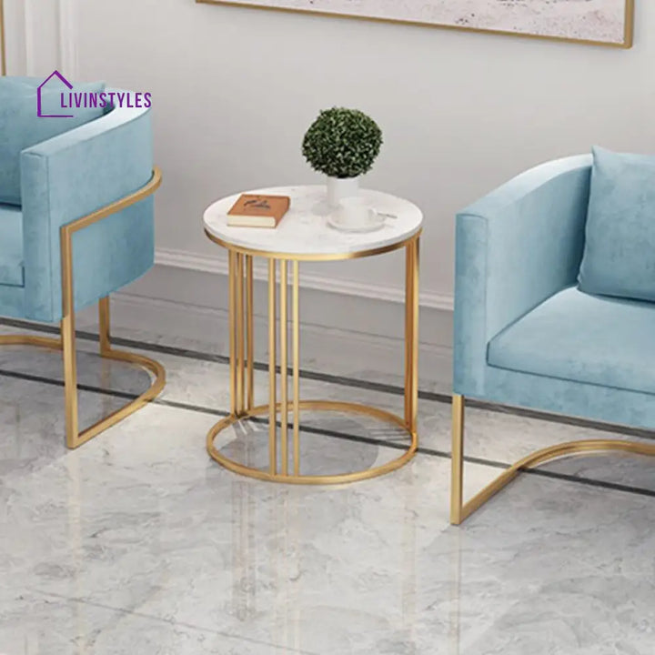 Navya Stainless Steel Frame Coffee Table for Living Room - Set of 2